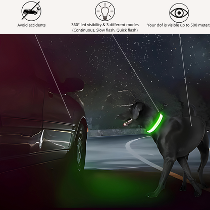 CoziKoala™ BrightBuddy | Visibility and safety for your faithful four-legged friend in the dark