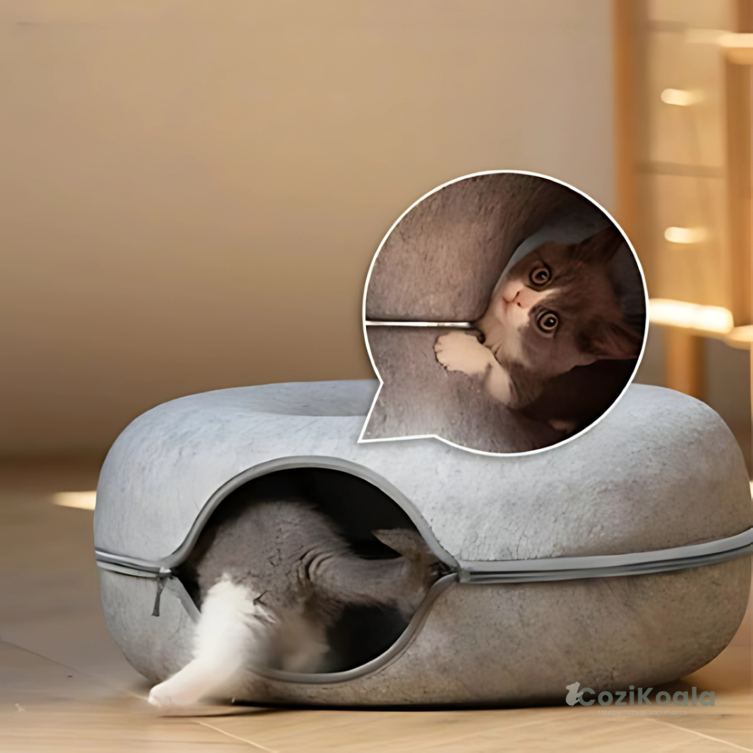 CoziKoala™ KittyDonut | The cat basket for happy cats!