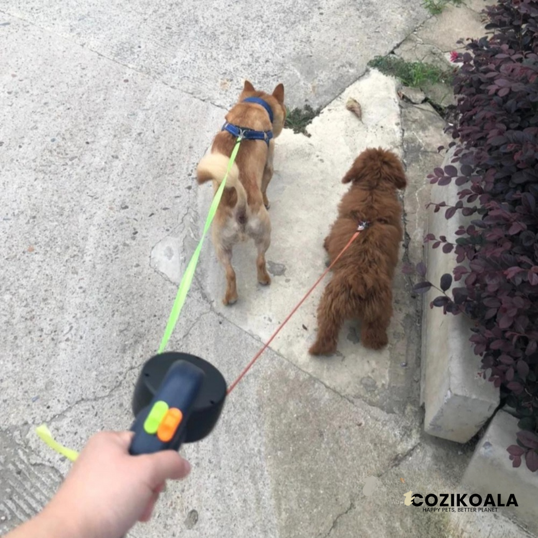 CoziKoala™ TwinWalk | Never mess with tangled dog leashes again!