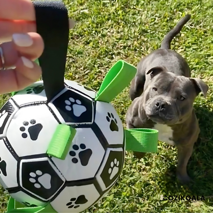 CoziKoala™ BounceMate - The indestructible ball for endless fun!