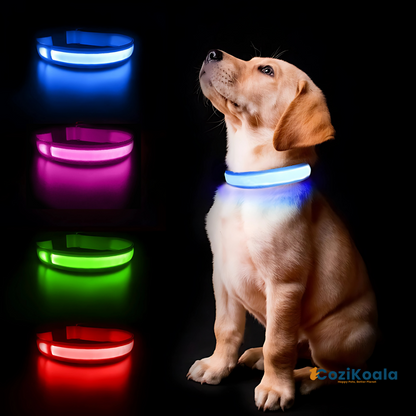 CoziKoala™ BrightBuddy | Visibility and safety for your faithful four-legged friend in the dark