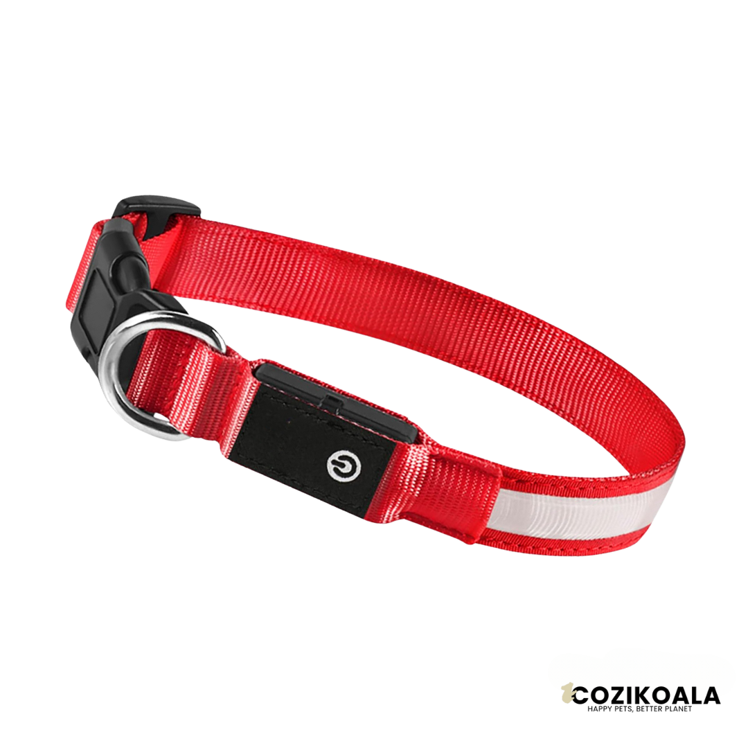 CoziKoala™ BrightBuddy Christmas Edition| Beaming into the Holidays with your Dog