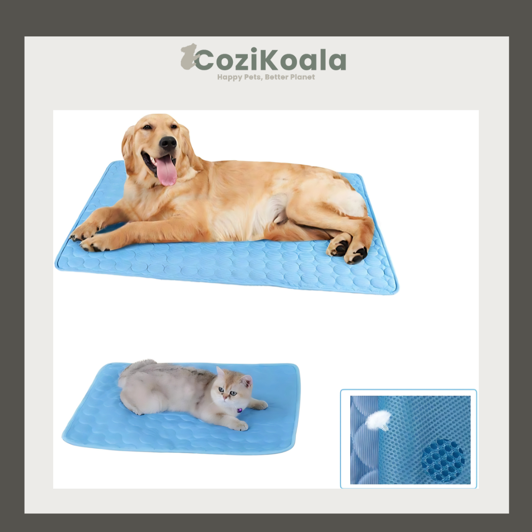 CoziKoala™ PawCool | No more overheated pets