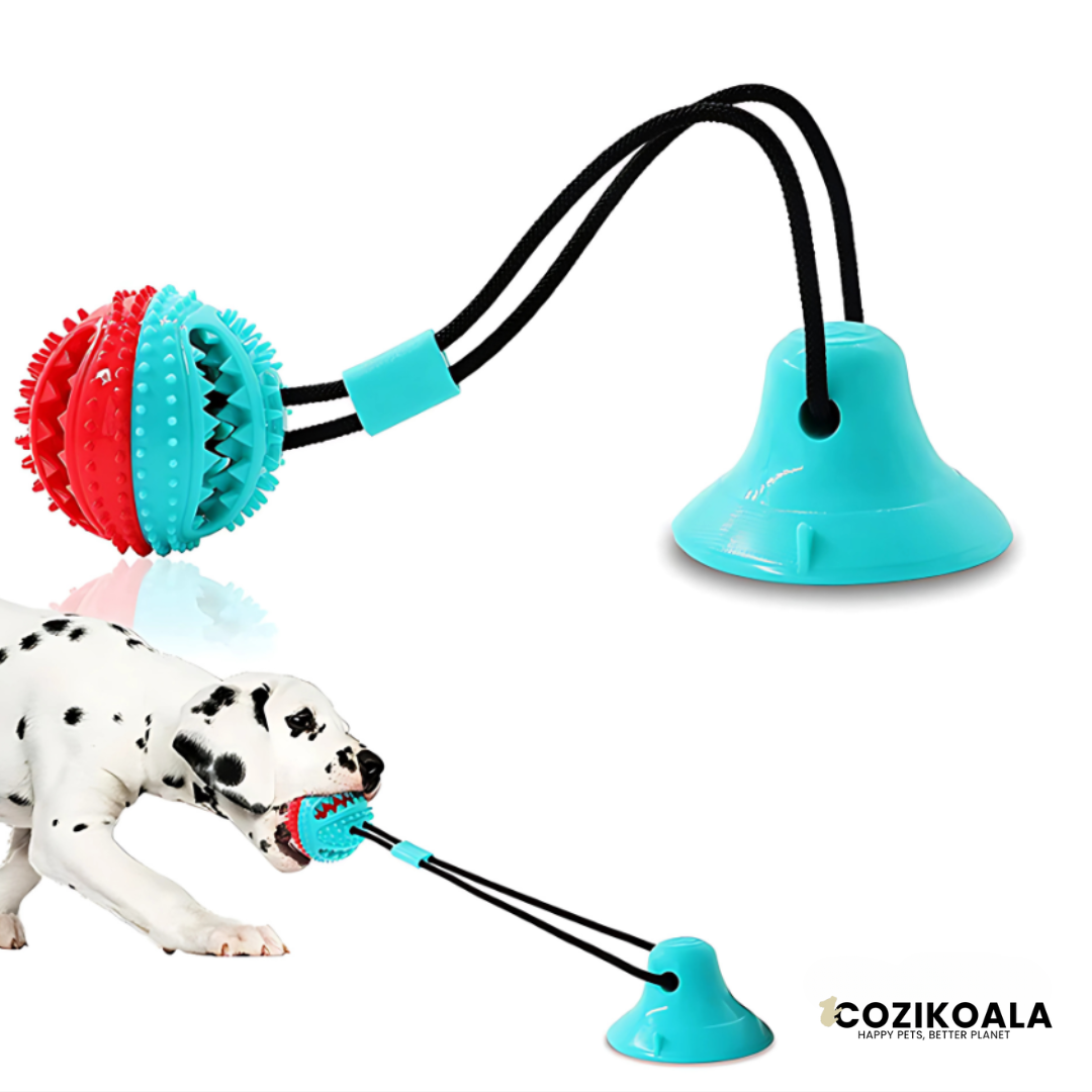 CoziKoala™ HappyBite | The Indestructible Chew Toy for Healthy Teeth and Endless Fun