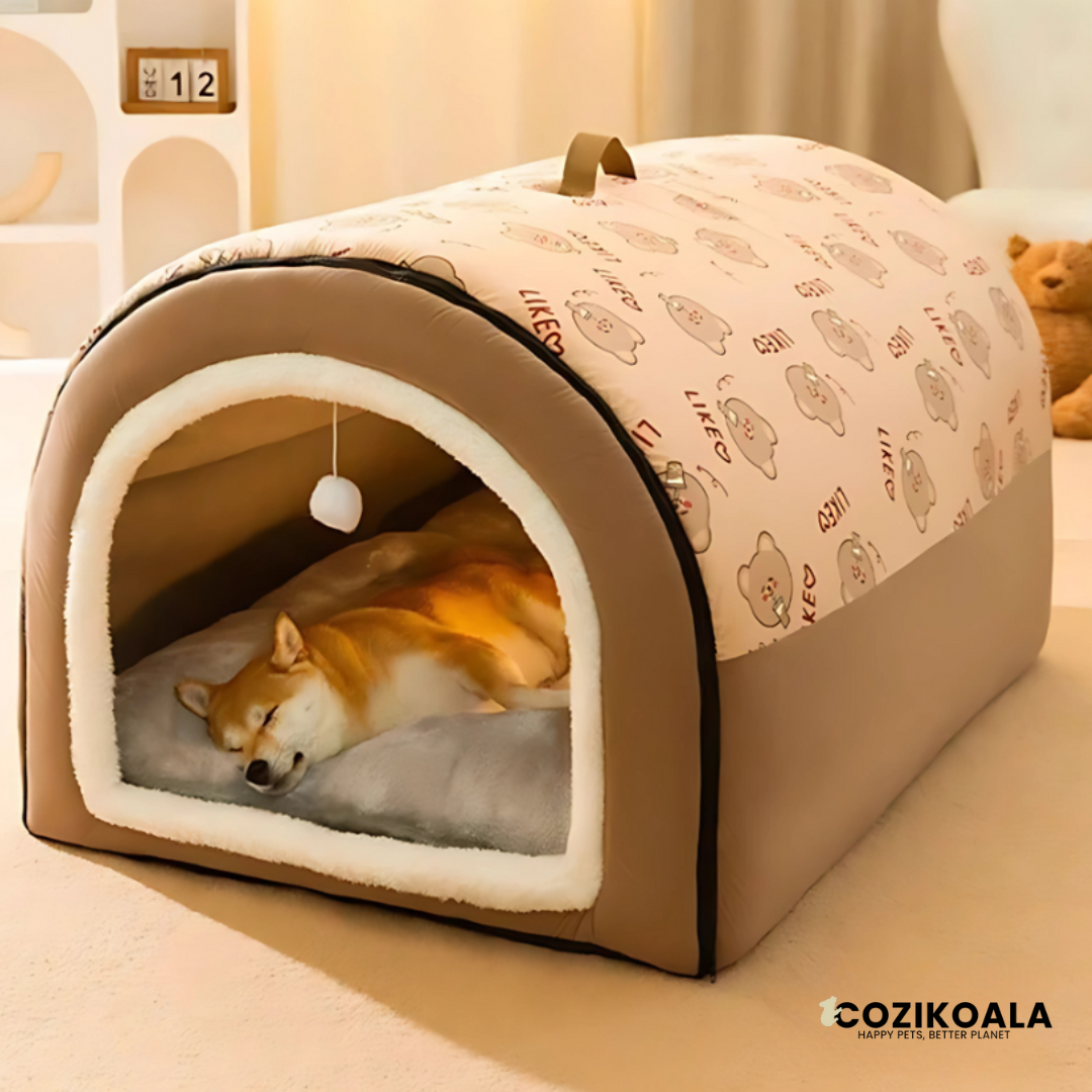 CoziKoala™ Boris | See your pet's happy look as he discovers his new favorite spot