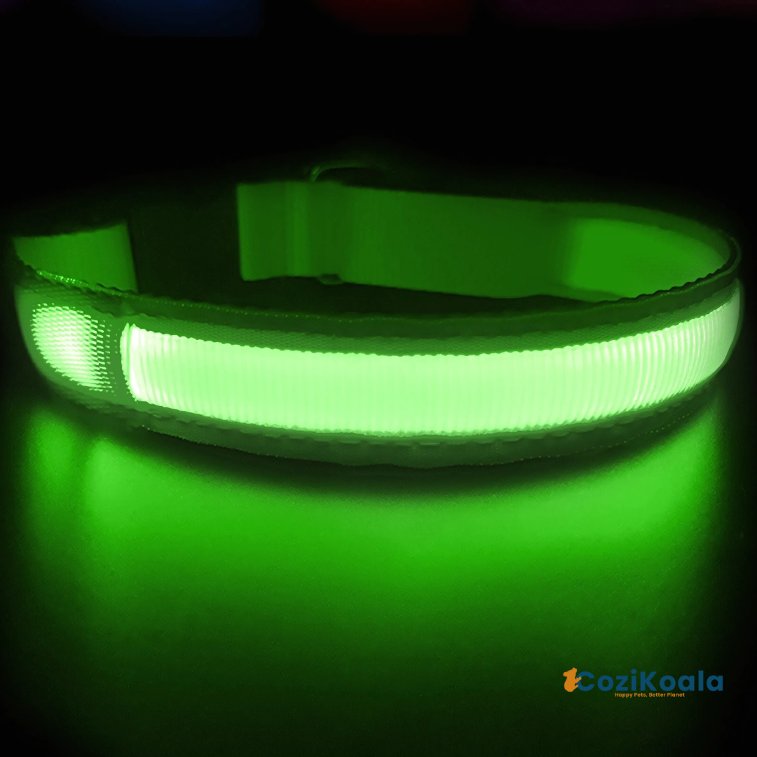 CoziKoala™ BrightBuddy | Visibility and safety for your faithful four-legged friend in the dark