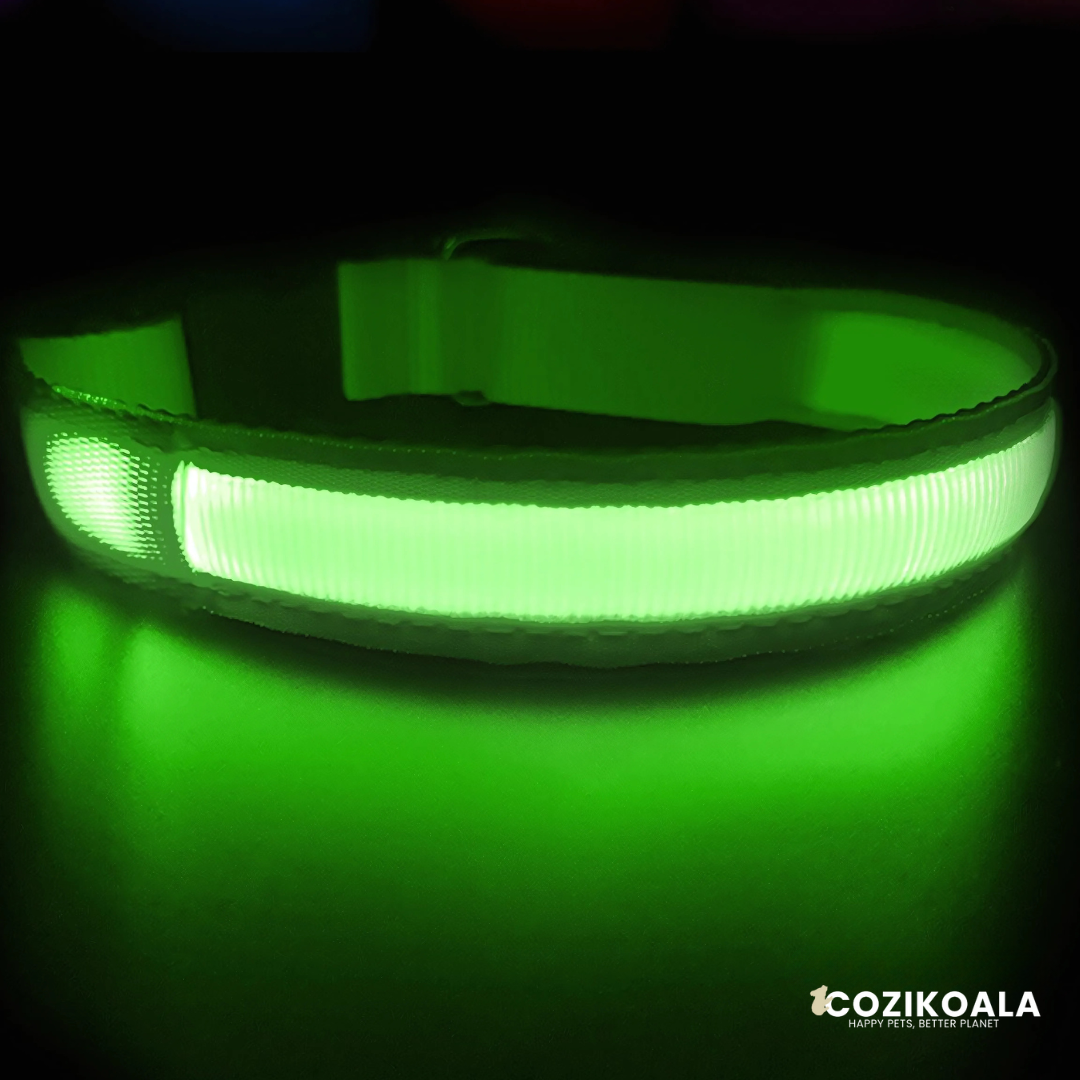 CoziKoala™ BrightBuddy Christmas Edition| Beaming into the Holidays with your Dog