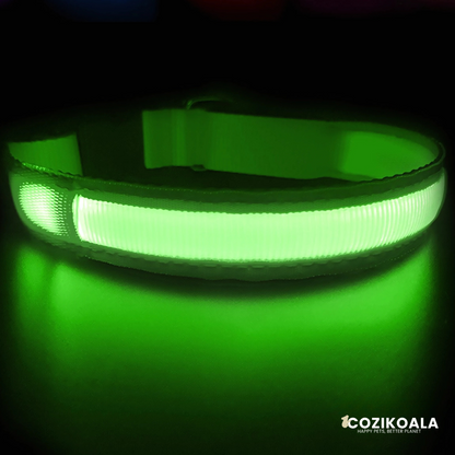 CoziKoala™ BrightBuddy Christmas Edition| Beaming into the Holidays with your Dog