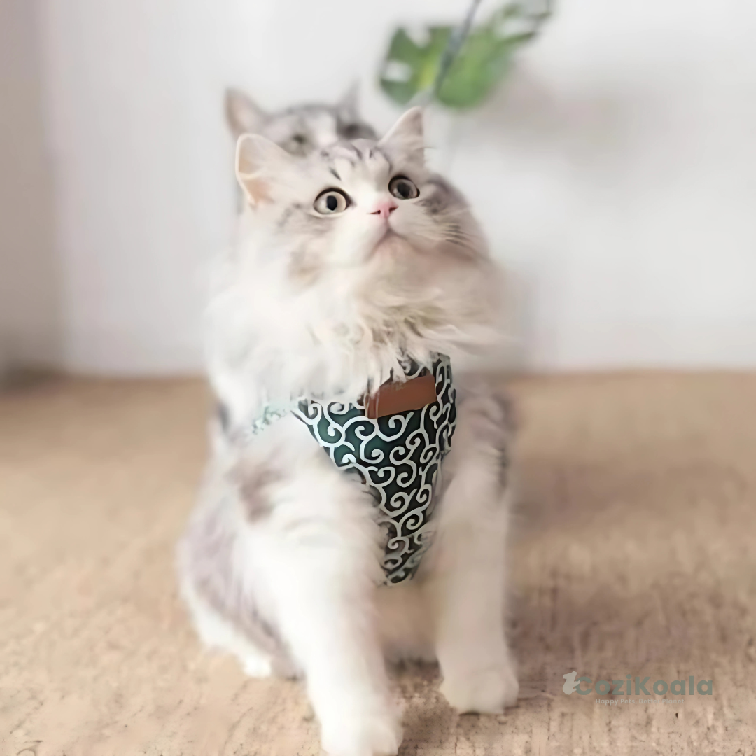 CoziKoala™ PurrfectFit | Safe and Comfortable Cat Harness Against Escapes