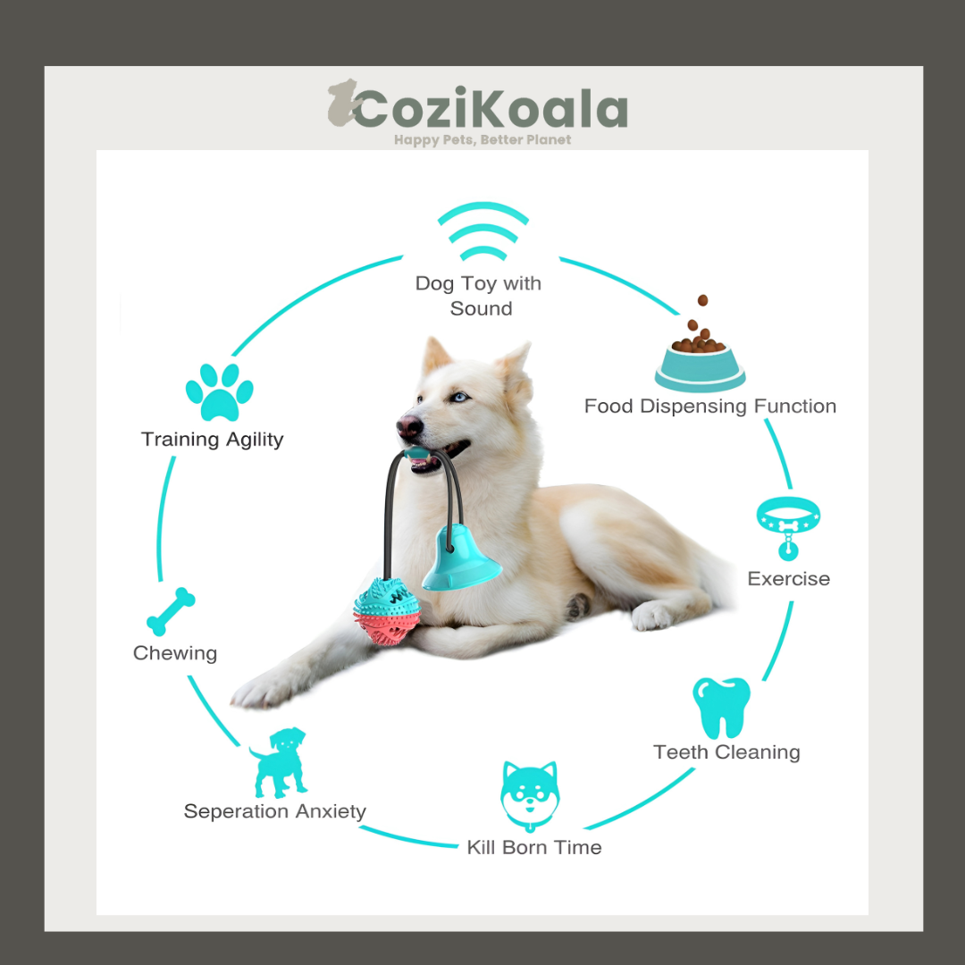 CoziKoala™ HappyBite | The Indestructible Chew Toy for Healthy Teeth and Endless Fun