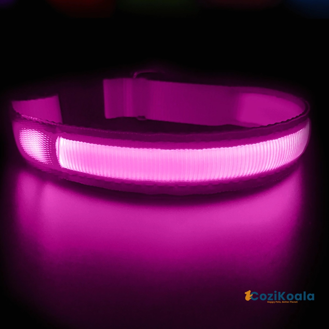 CoziKoala™ BrightBuddy | Visibility and safety for your faithful four-legged friend in the dark