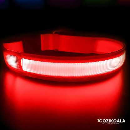 CoziKoala™ BrightBuddy Christmas Edition| Beaming into the Holidays with your Dog