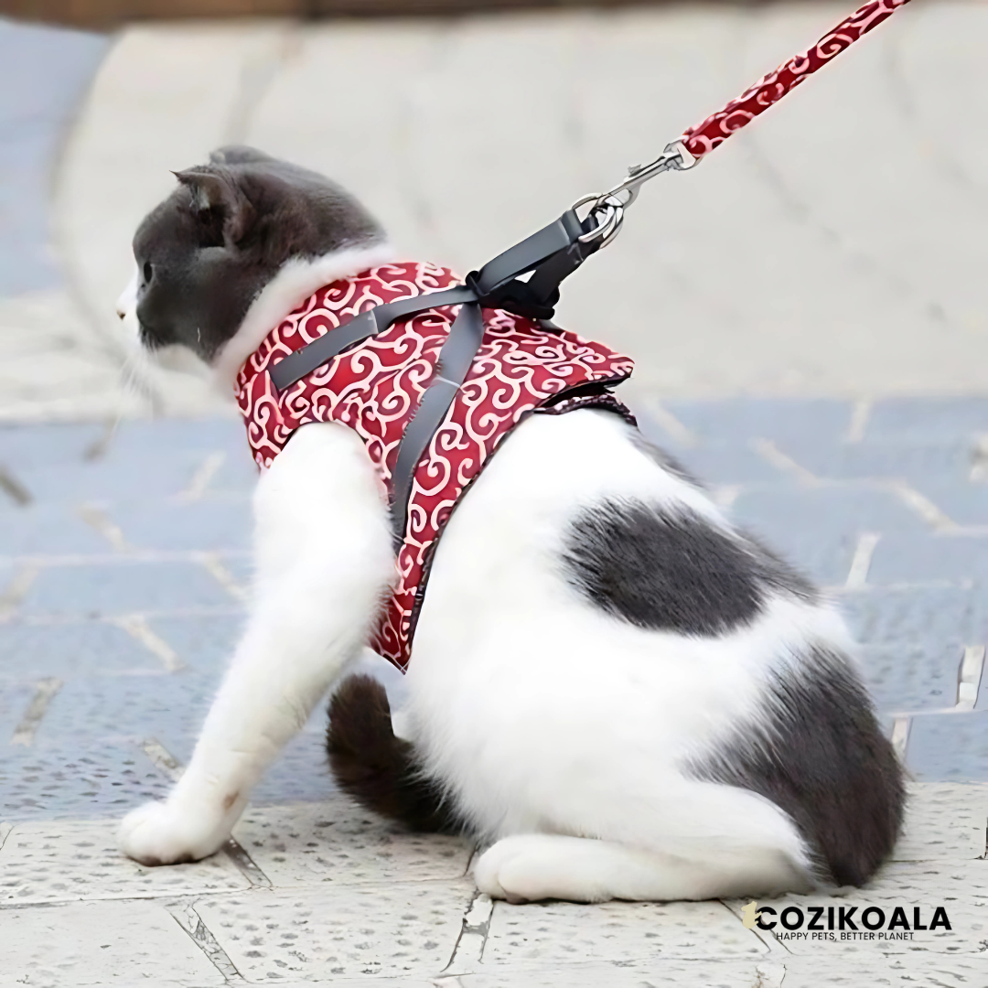 CoziKoala™ PurrfectFit | Safe and Comfortable Cat Harness Against Escapes