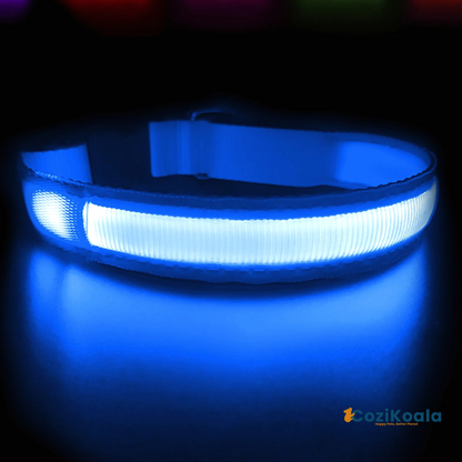 CoziKoala™ BrightBuddy | Visibility and safety for your faithful four-legged friend in the dark