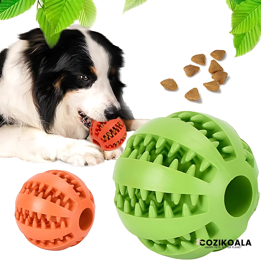 CoziKoala™ ChewBall Happy Teeth | Endless Fun and Clean Teeth