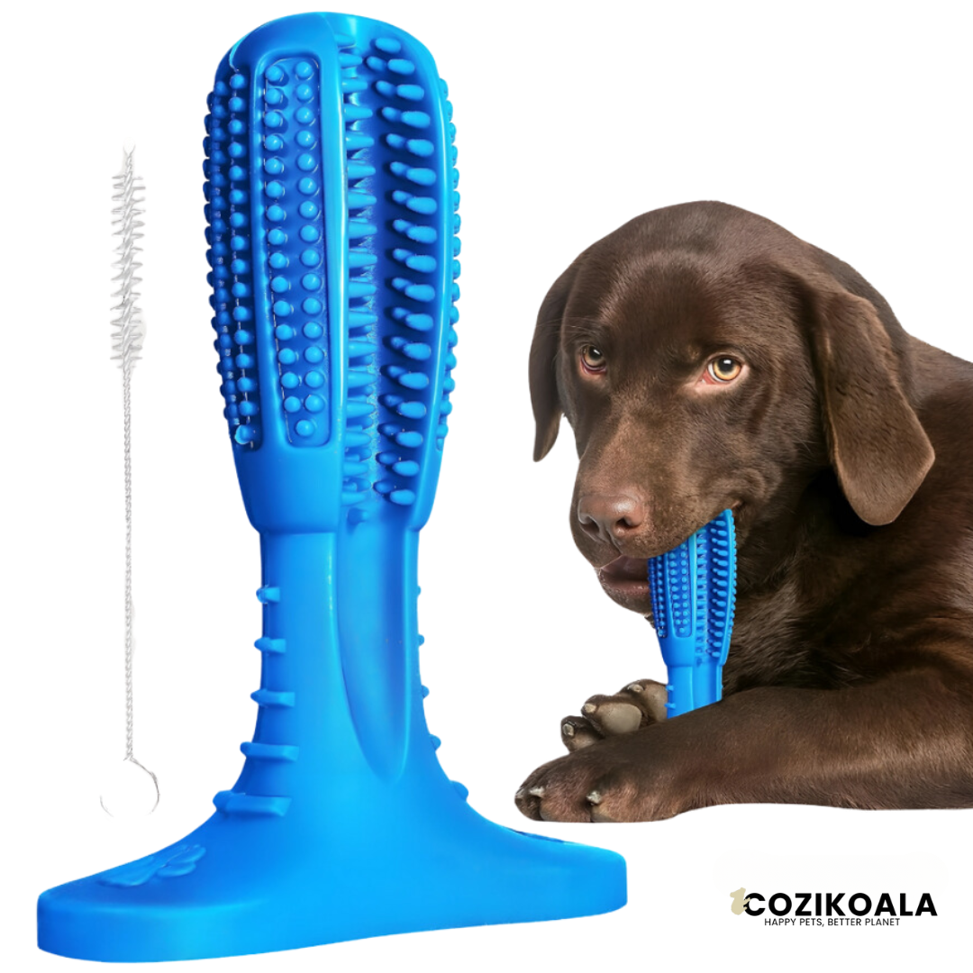 CoziKoala™ DentiChew | No more bad breath and plaque