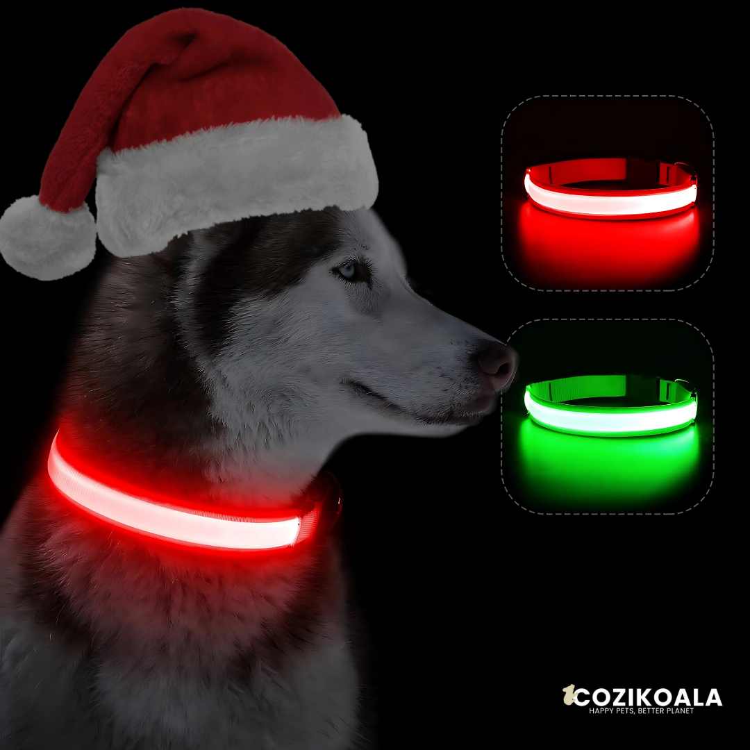 CoziKoala™ BrightBuddy Christmas Edition| Beaming into the Holidays with your Dog