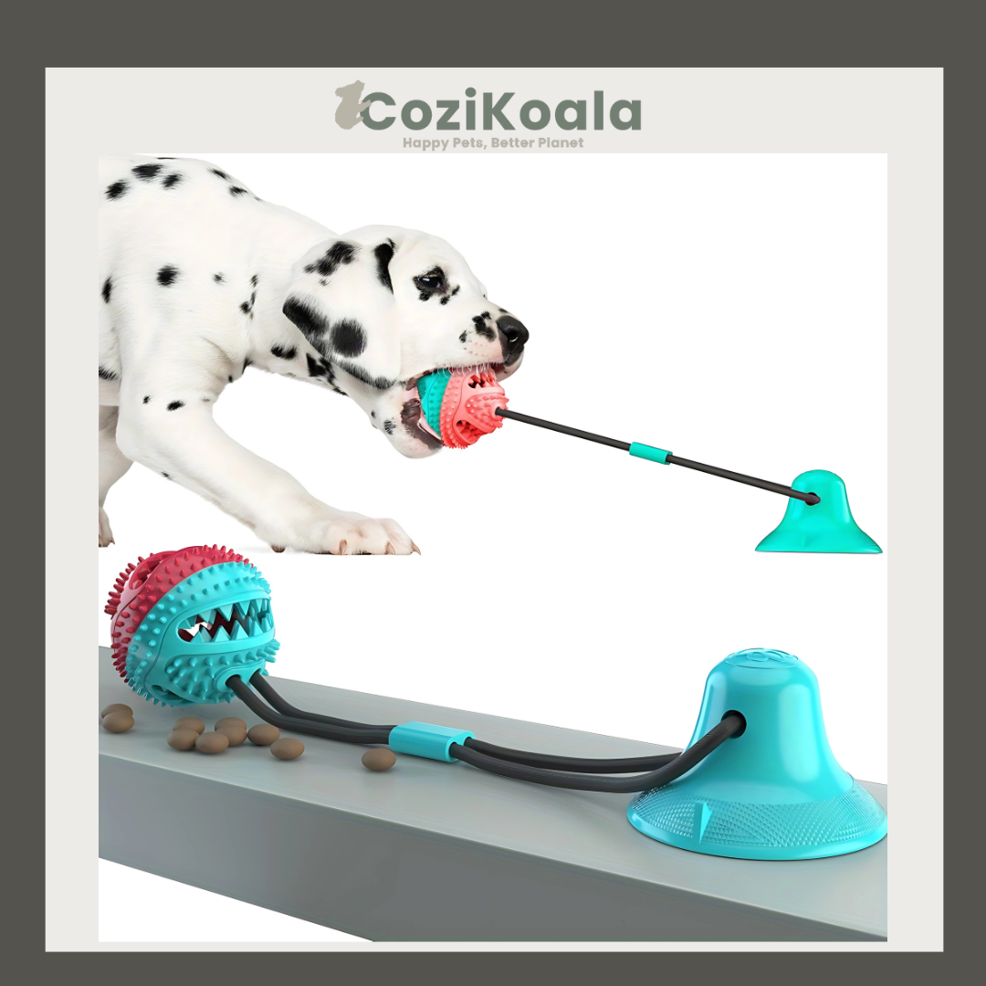 CoziKoala™ HappyBite | The Indestructible Chew Toy for Healthy Teeth and Endless Fun