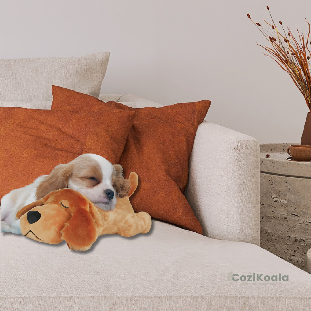 CoziKoala™ CuddleMate - Help your dog get rid of anxiety and loneliness