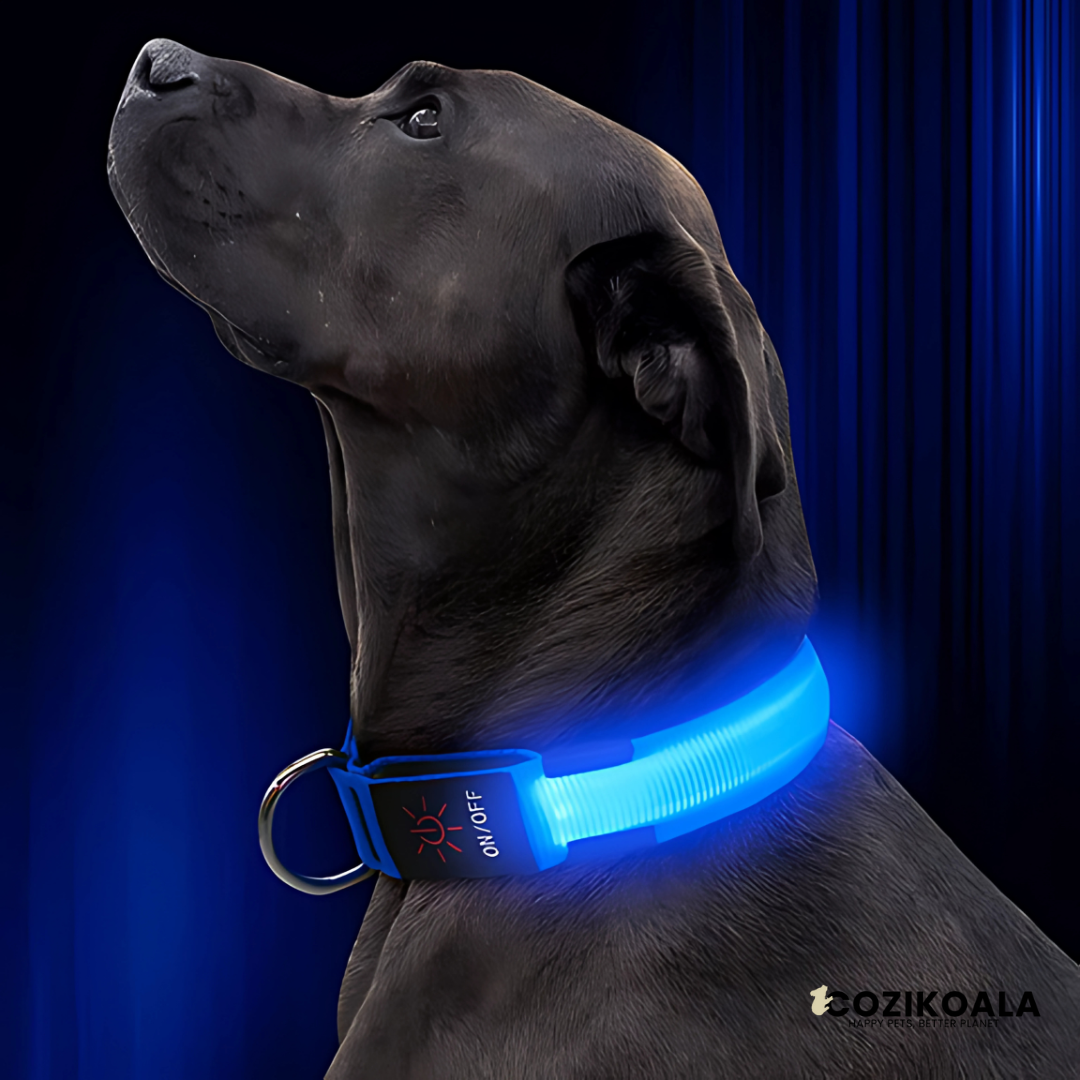 CoziKoala™ BrightBuddy | Visibility and safety for your faithful four-legged friend in the dark