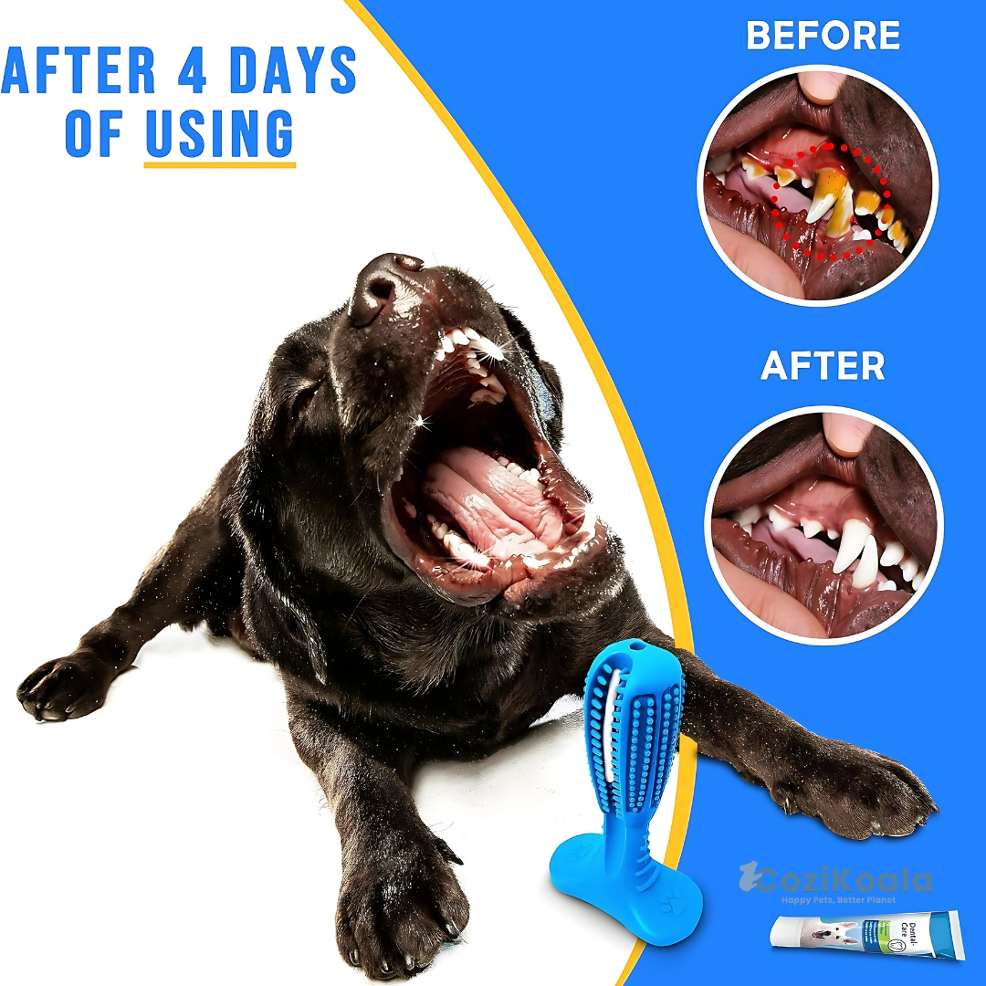 CoziKoala™ DentiChew | No more bad breath and plaque