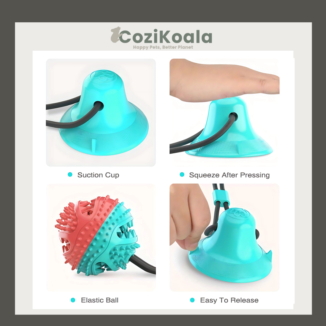 CoziKoala™ HappyBite | The Indestructible Chew Toy for Healthy Teeth and Endless Fun