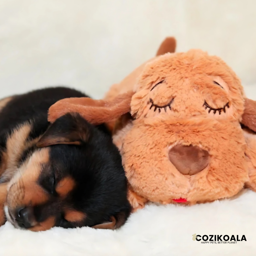 CoziKoala™ CuddleMate - Help your dog get rid of anxiety and loneliness