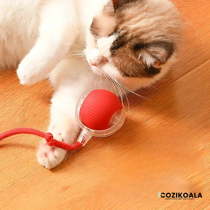 CoziKoala™ KittyBall | The Smart Playball that Keeps Pets Happy