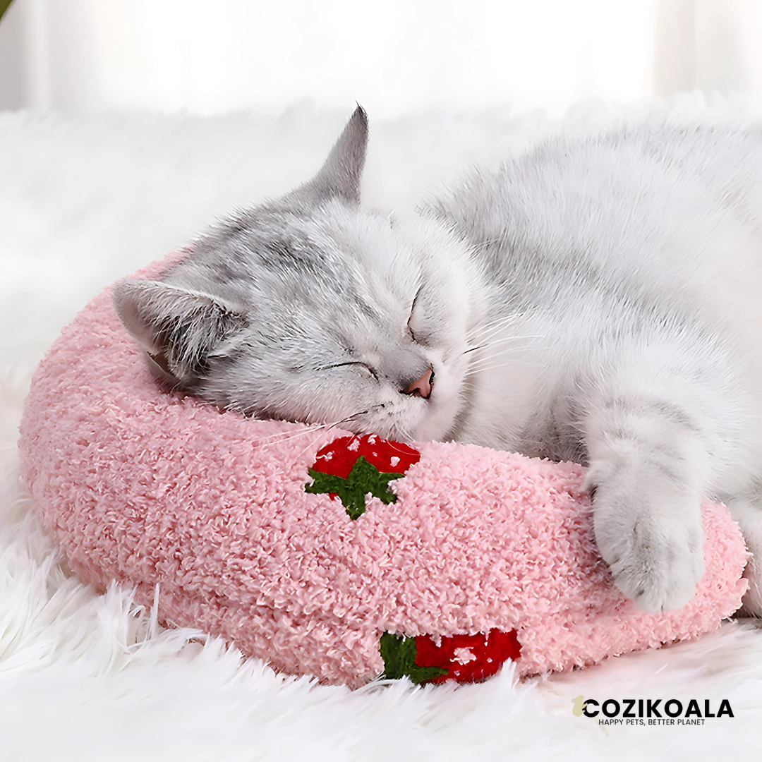 CoziKoala™ Simba | The Orthopedic Cat Pillow That Restores Rest and Breathing