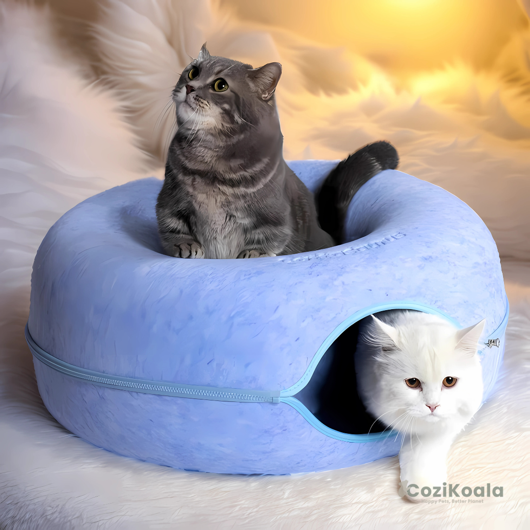 CoziKoala™ KittyDonut | The cat basket for happy cats!