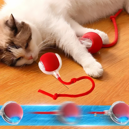 CoziKoala™ KittyBall | The Smart Playball that Keeps Pets Happy